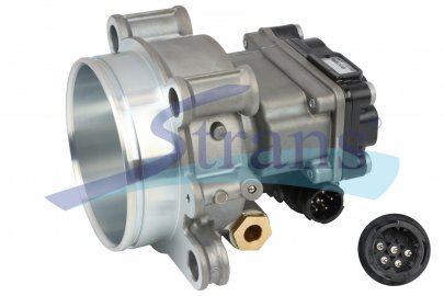 Кеудесі үлкен қарт әжелерді қараңыз